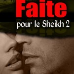 Faite pour le Sheikh 2
