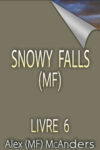 Snowy Falls 6