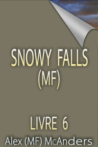 Snowy Falls 6